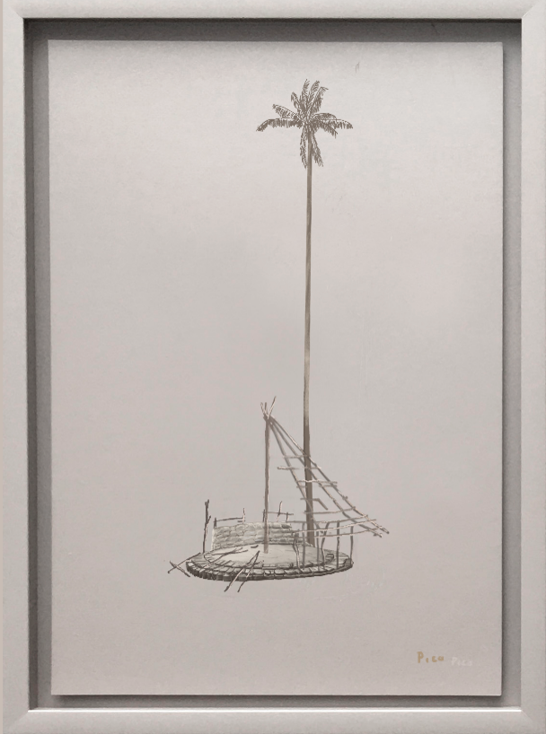 1 – ESENCIA TAYRONA