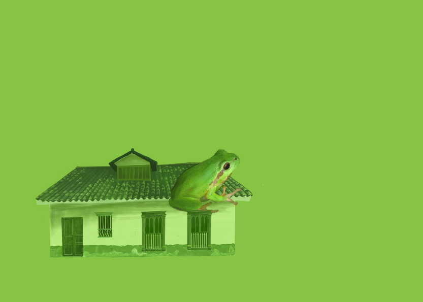 MOSQUERA SORPRENDENTE